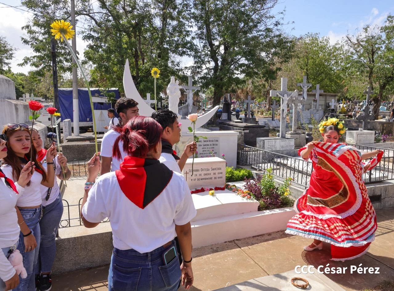 FLORES-(15)