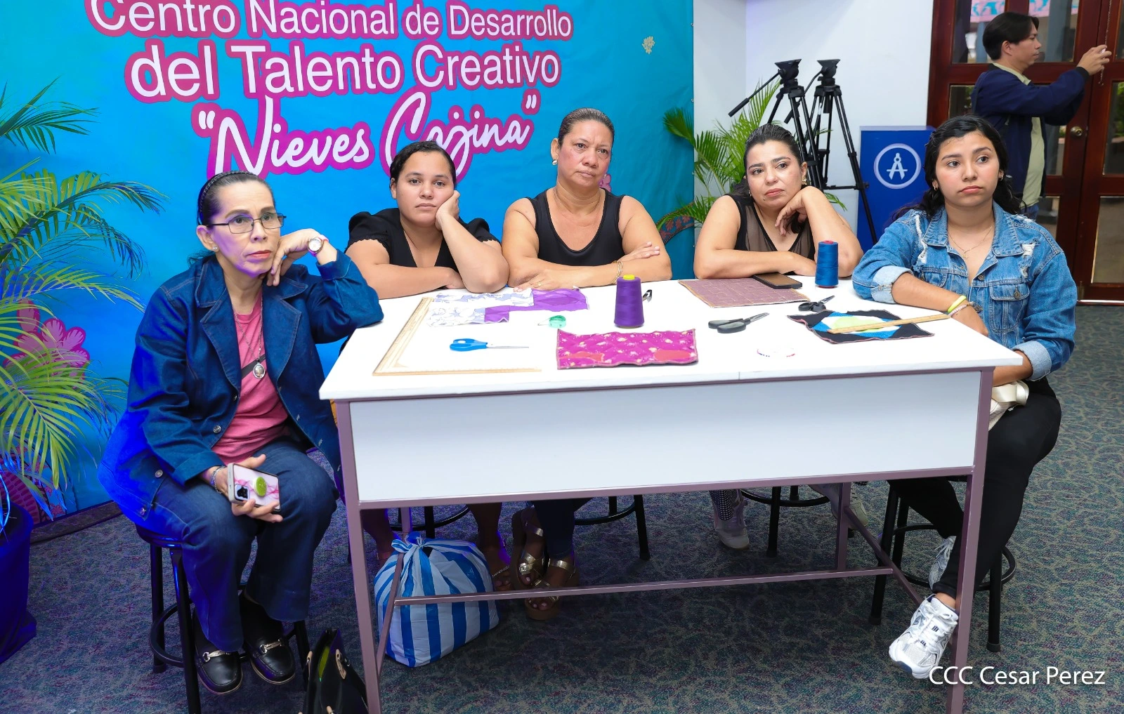 DISENADORES2