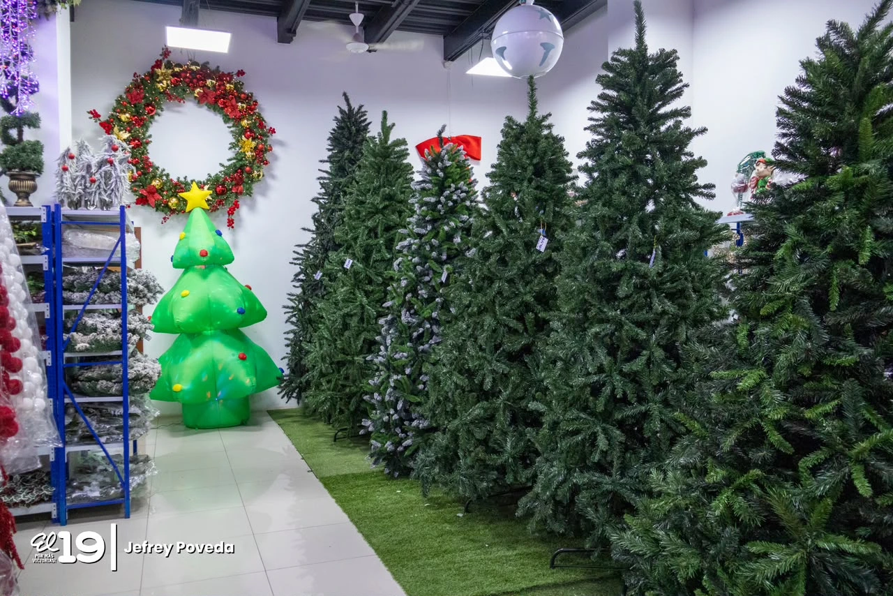 NAVIDAD14