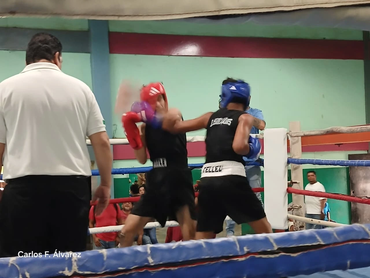 BOXEO12