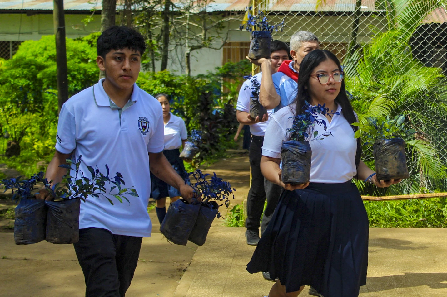 FLORES-(11)