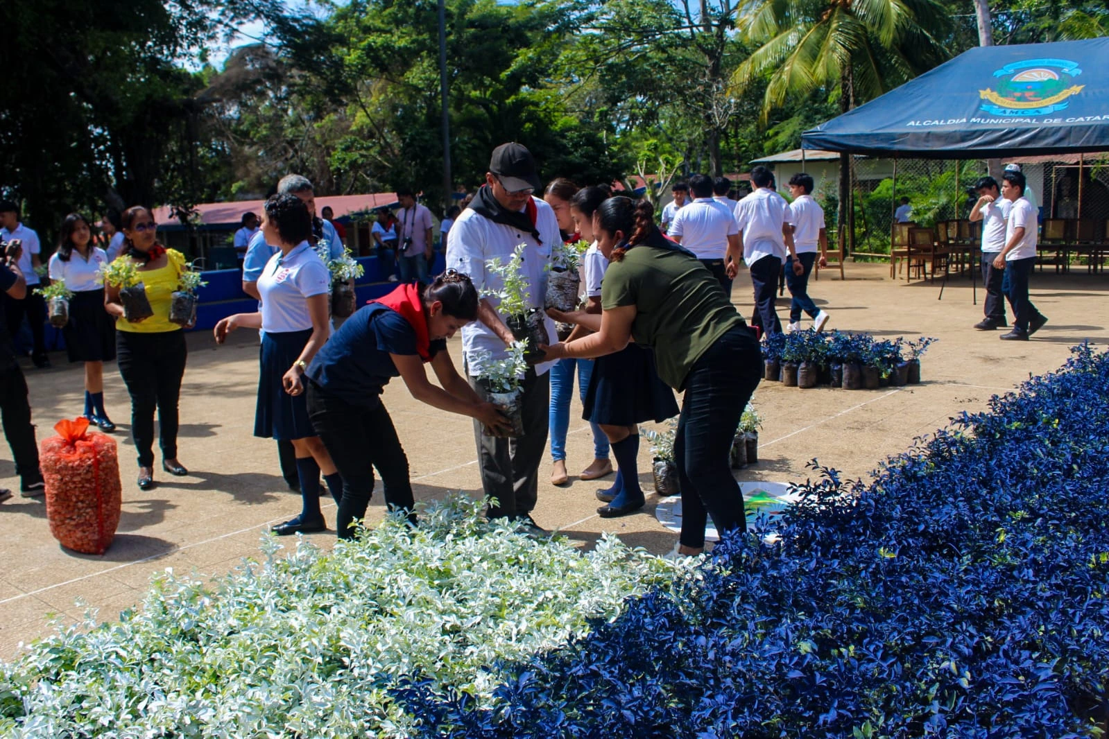 FLORES-(17)