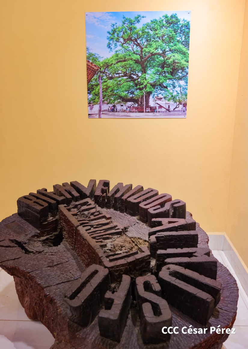 MUSEO-EL-GENIZARO-(179)
