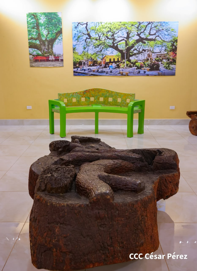 MUSEO-EL-GENIZARO-(187)