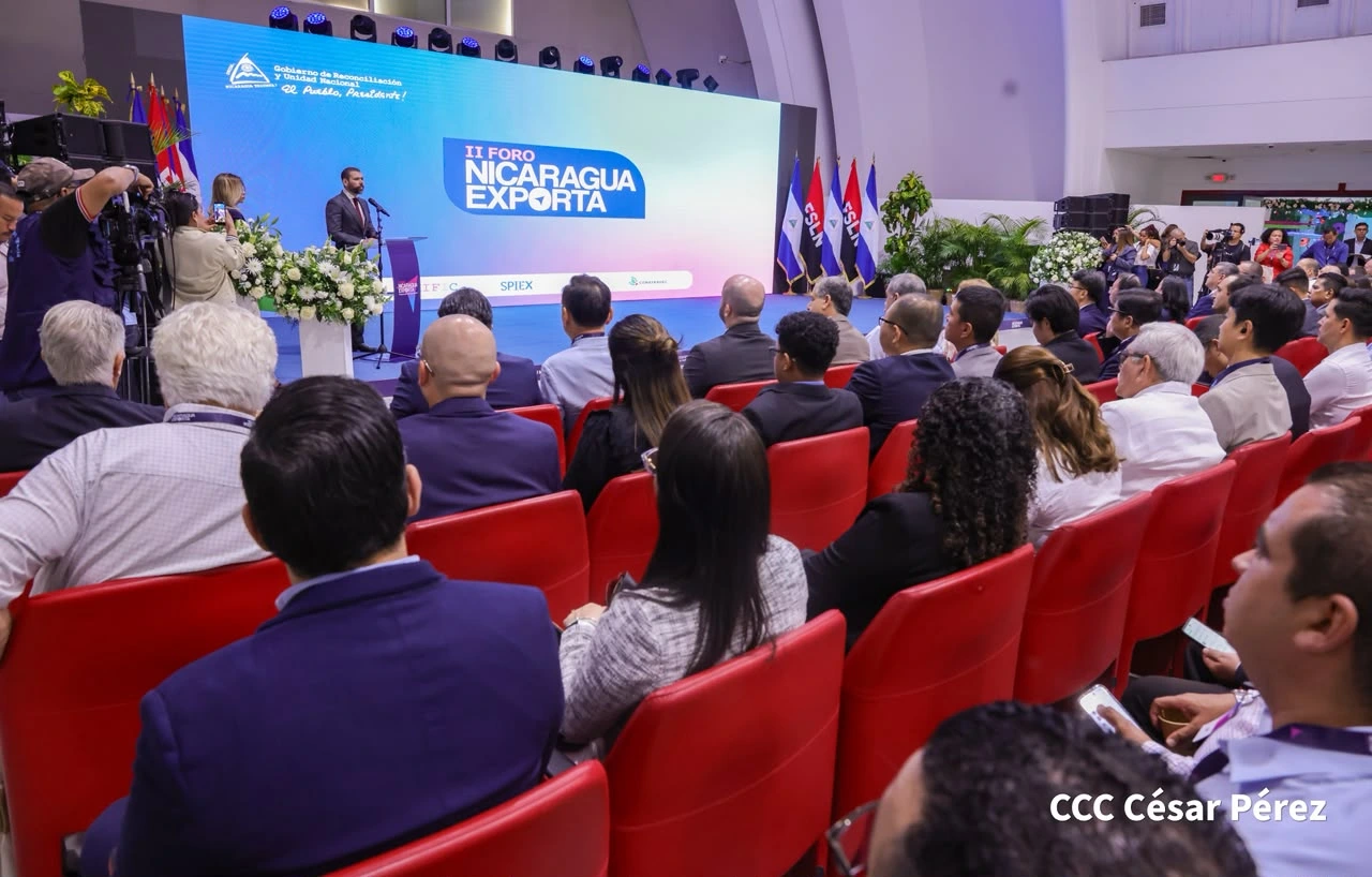 FORO15