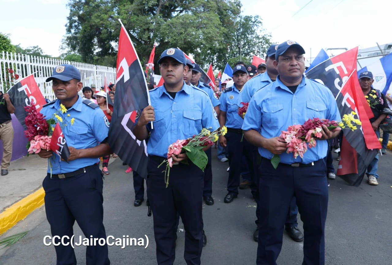 NINDIRI-(22)