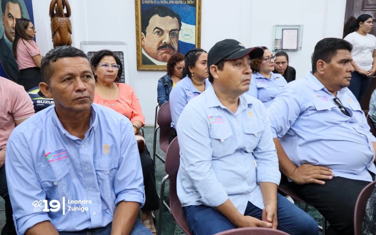 INFORME11