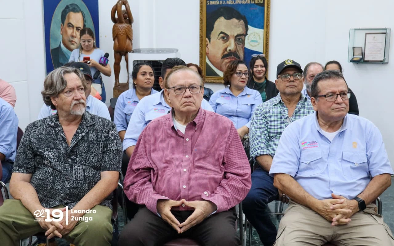 INFORME13
