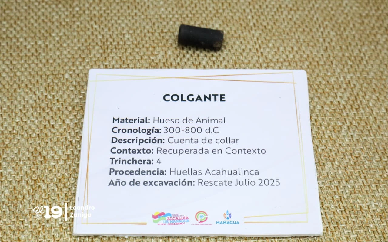 INFORME21