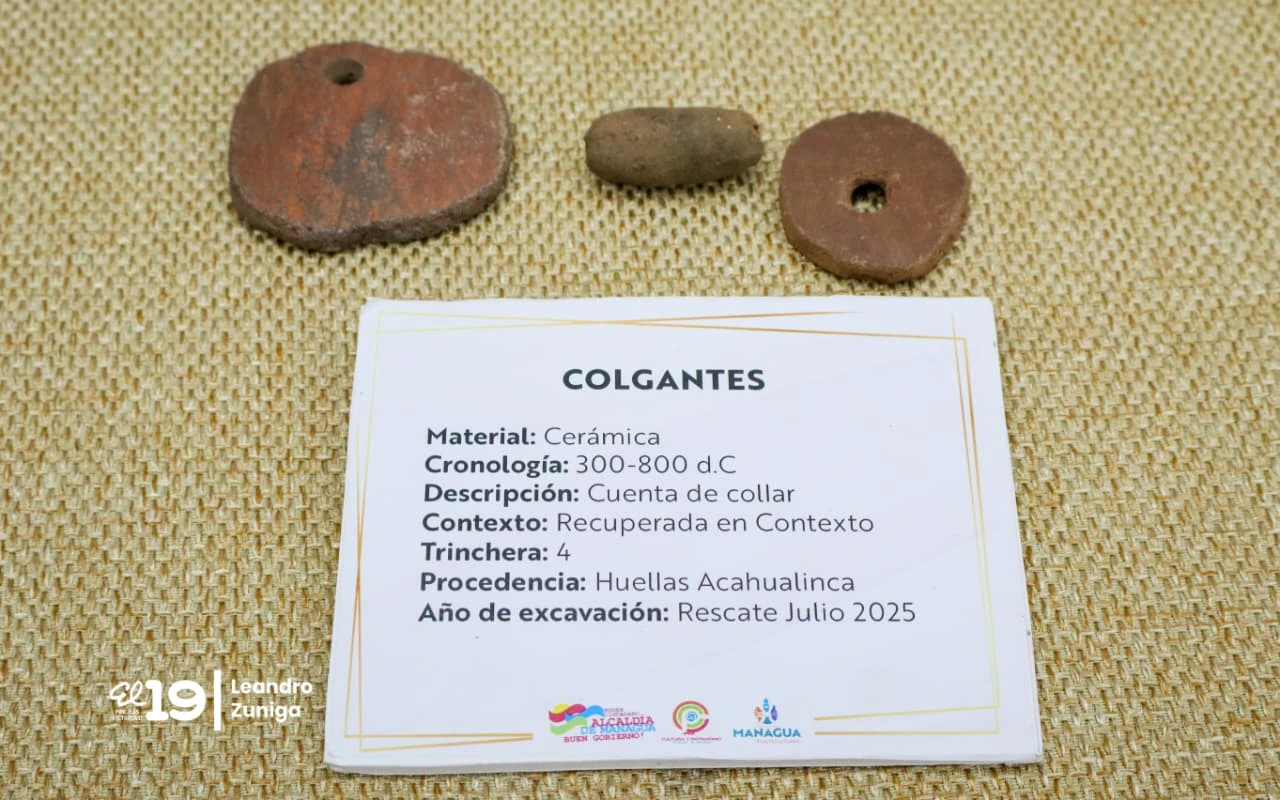 INFORME23