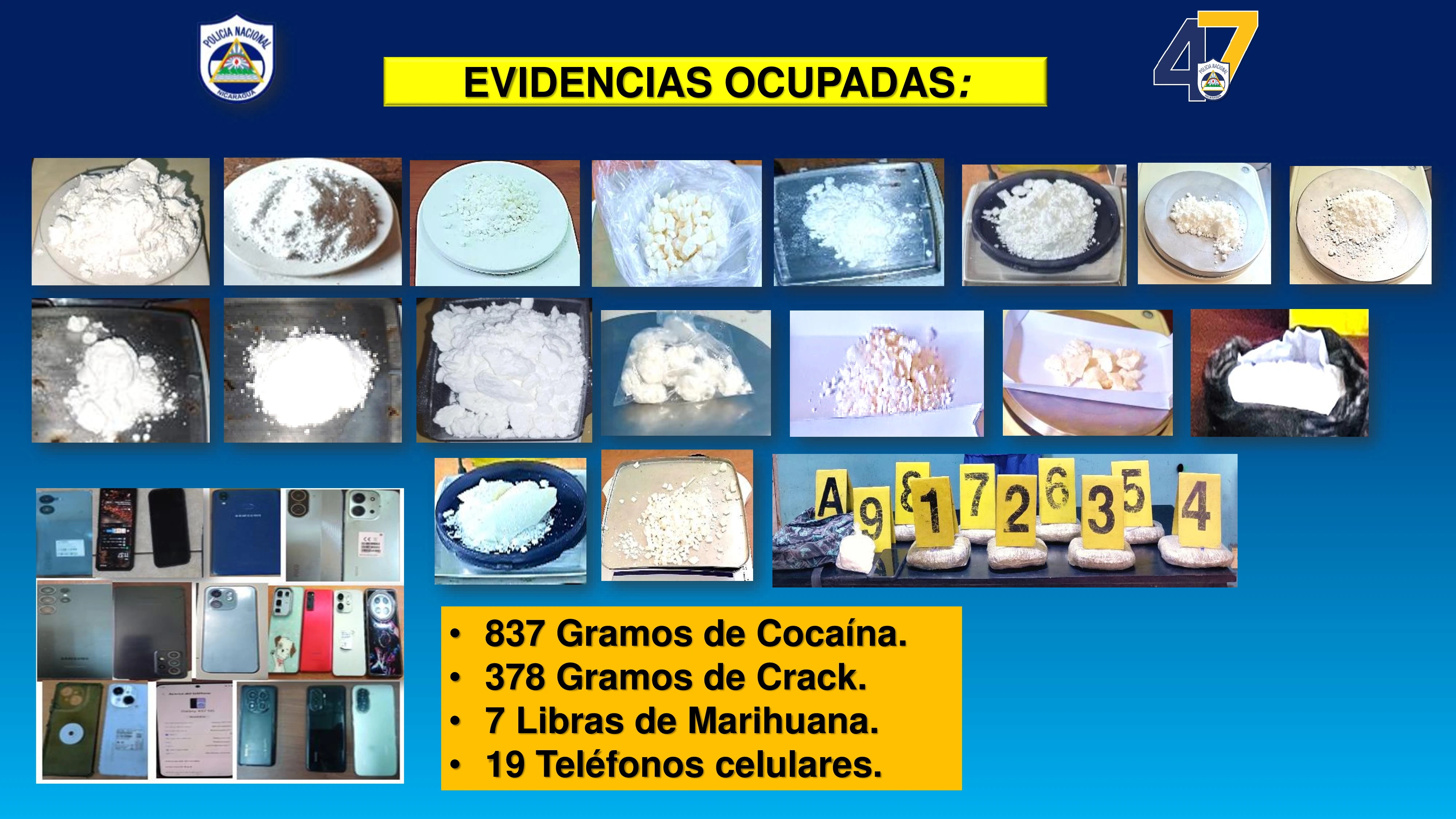 SEGURIDAD8