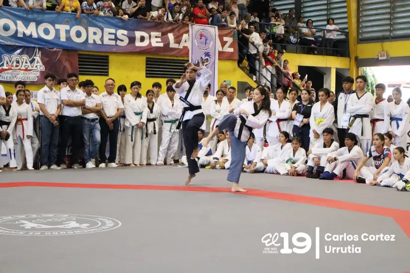 COPA-COREA--(23)