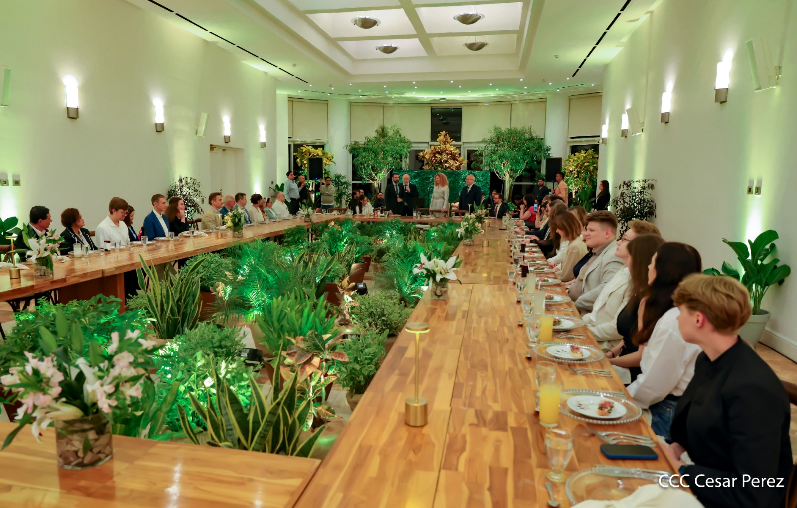 CENA-(4)