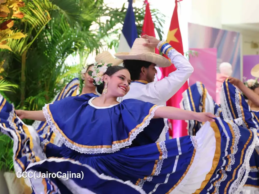 ND-29