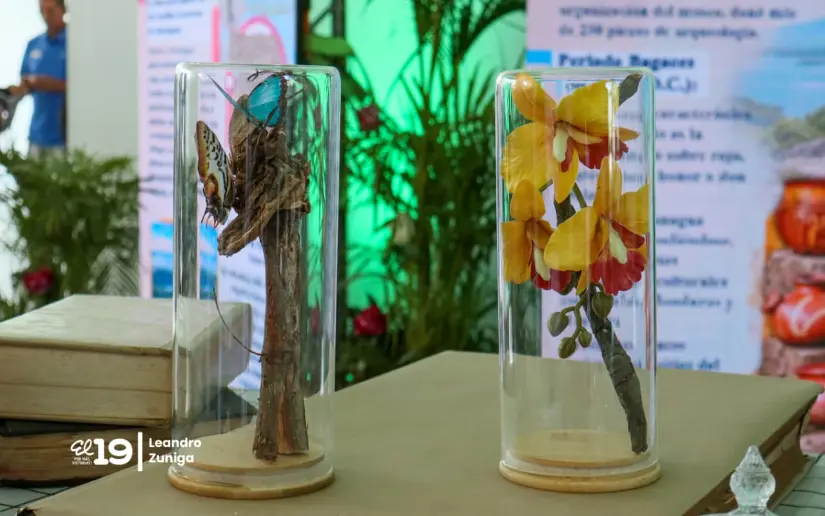 ALMA-40