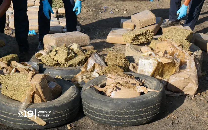 PN-29