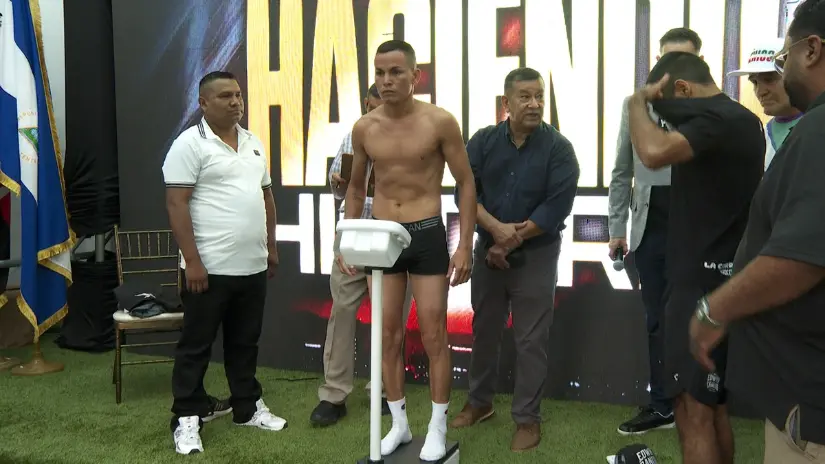 BOXEO-8