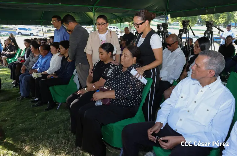 Poeta--(12)