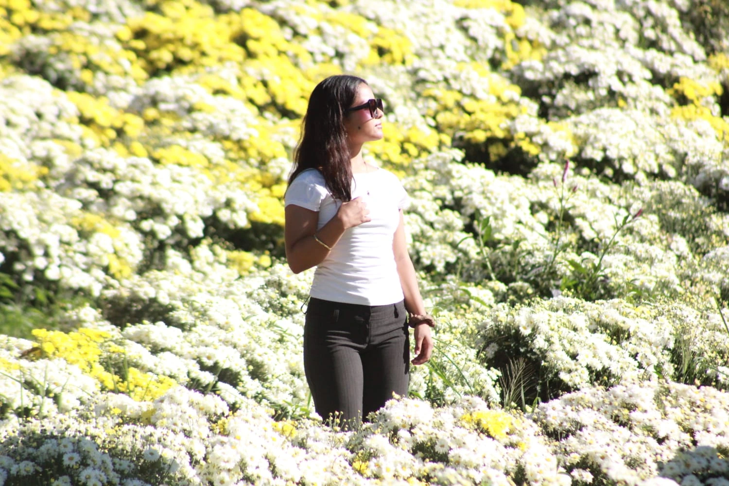 FLORES-(10)