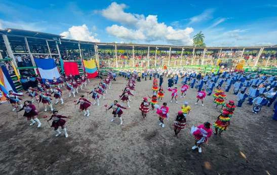 BANDAS31