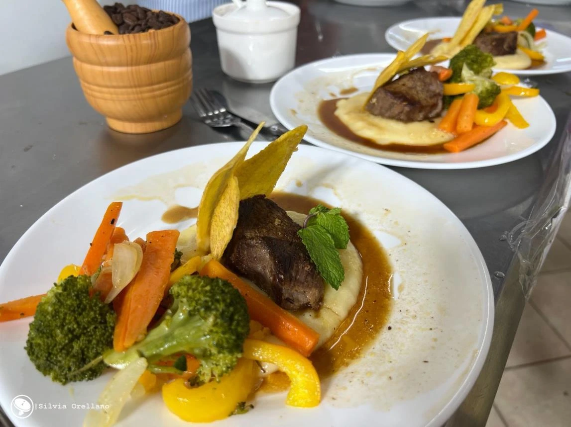 COMIDA15