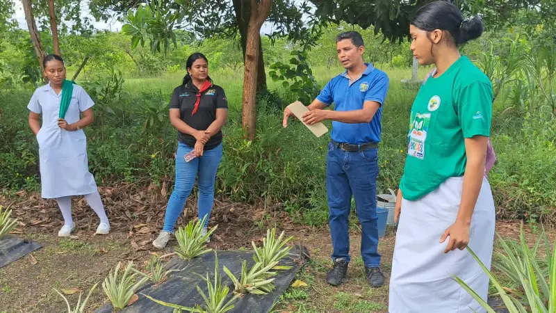 BICU-26
