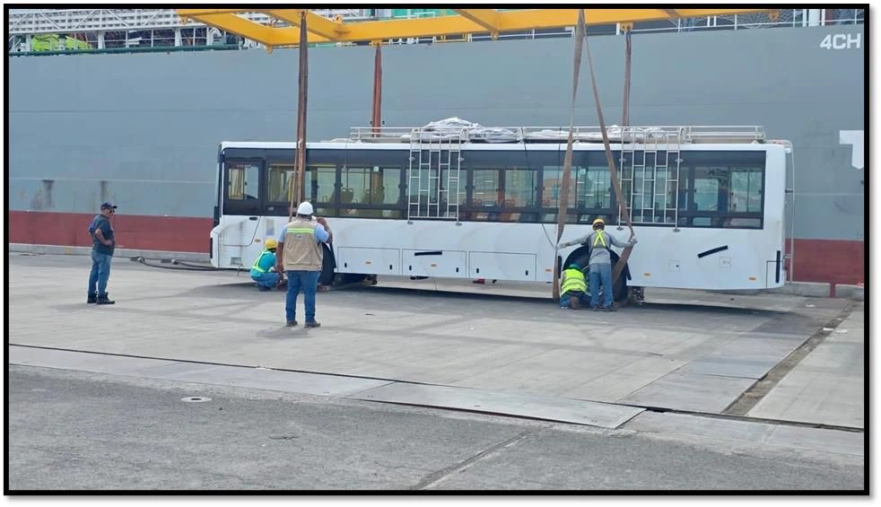 BUSES-(1)
