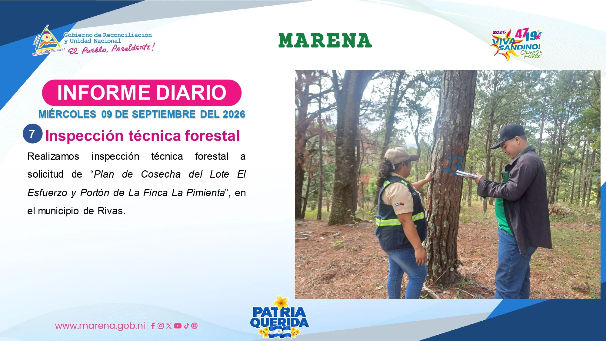 MARENA7