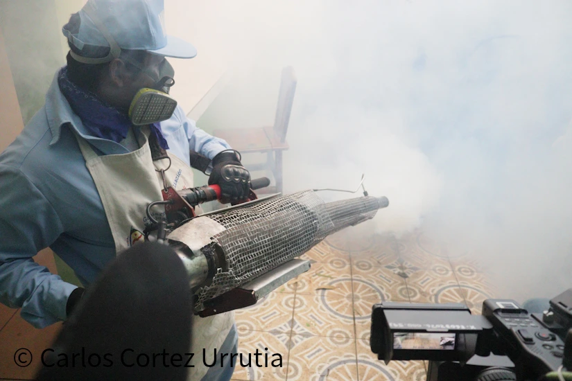 MINSA5