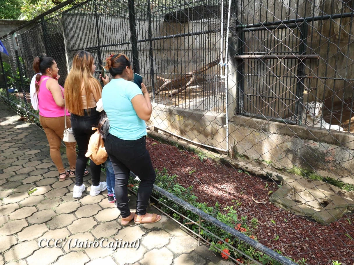 ZOOLOGICO17