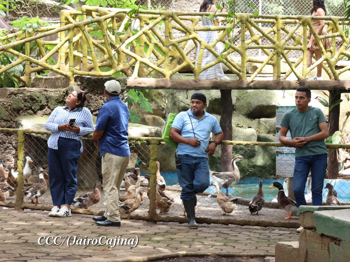 ZOOLOGICO23