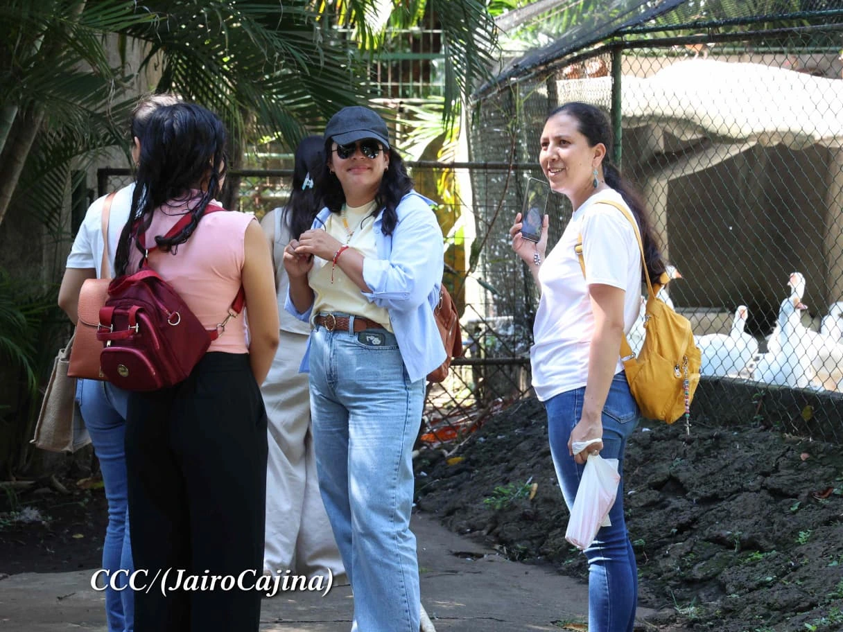 ZOOLOGICO3