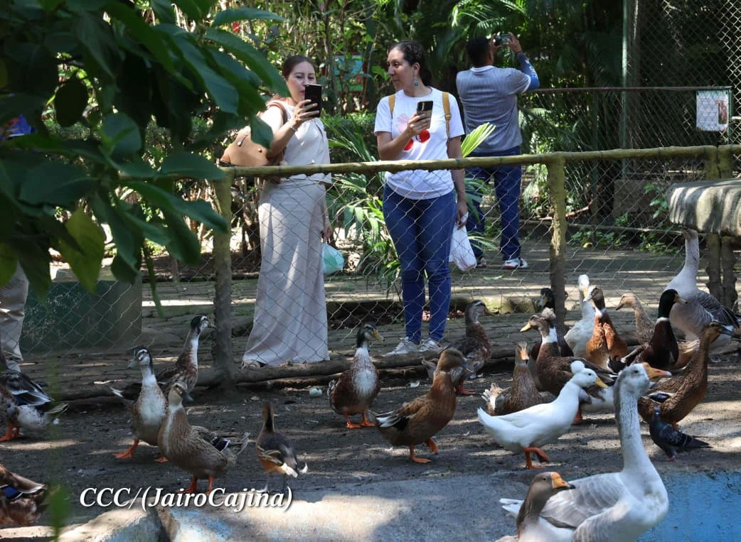 ZOOLOGICO6
