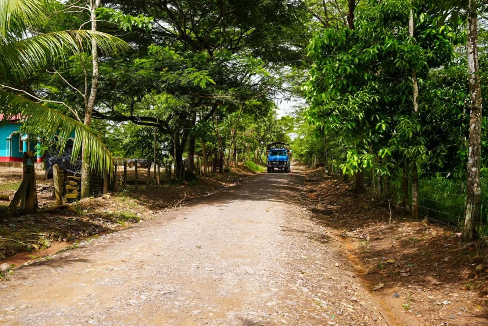 CAMINOS15