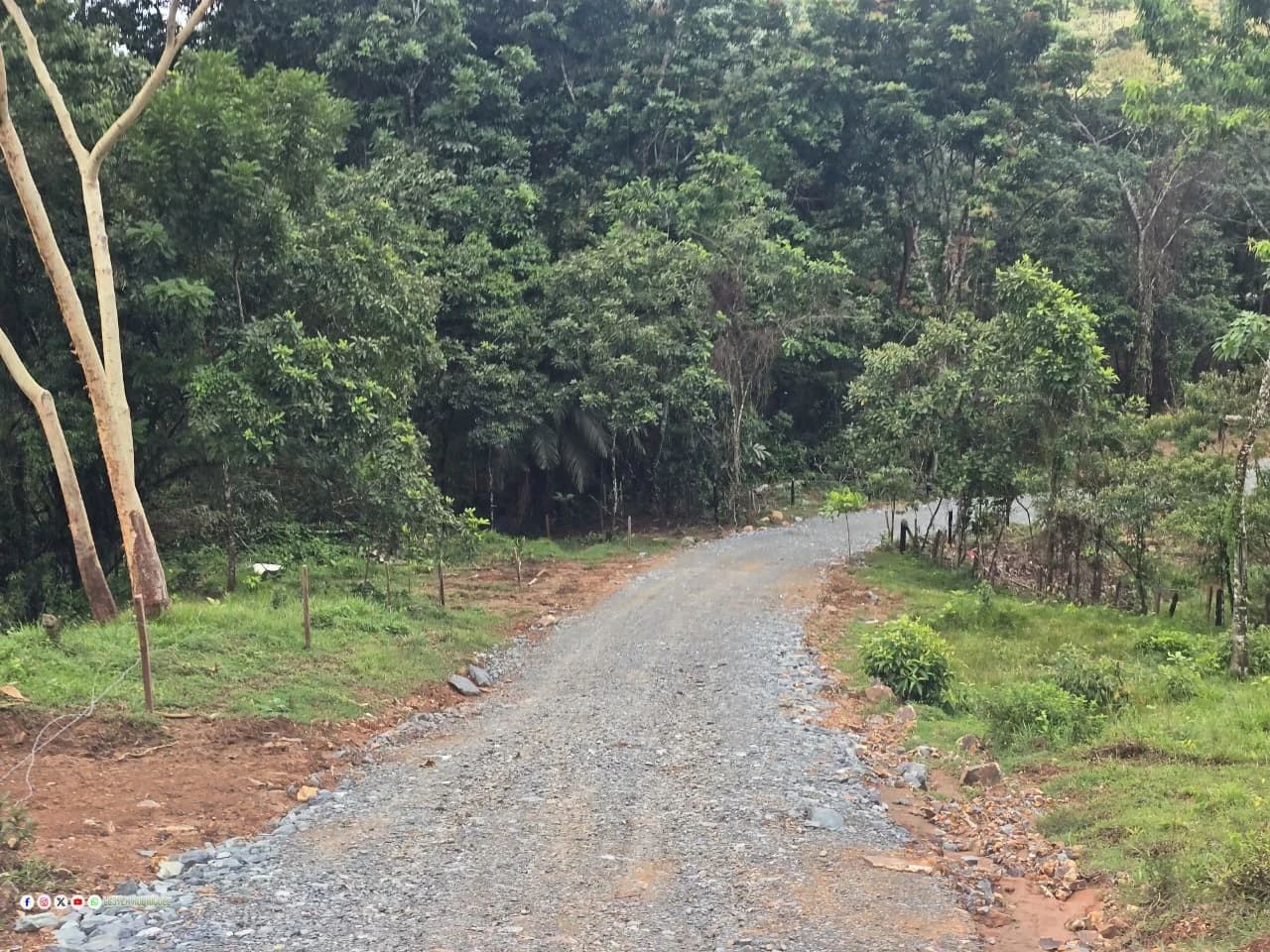 CAMINO-(9)