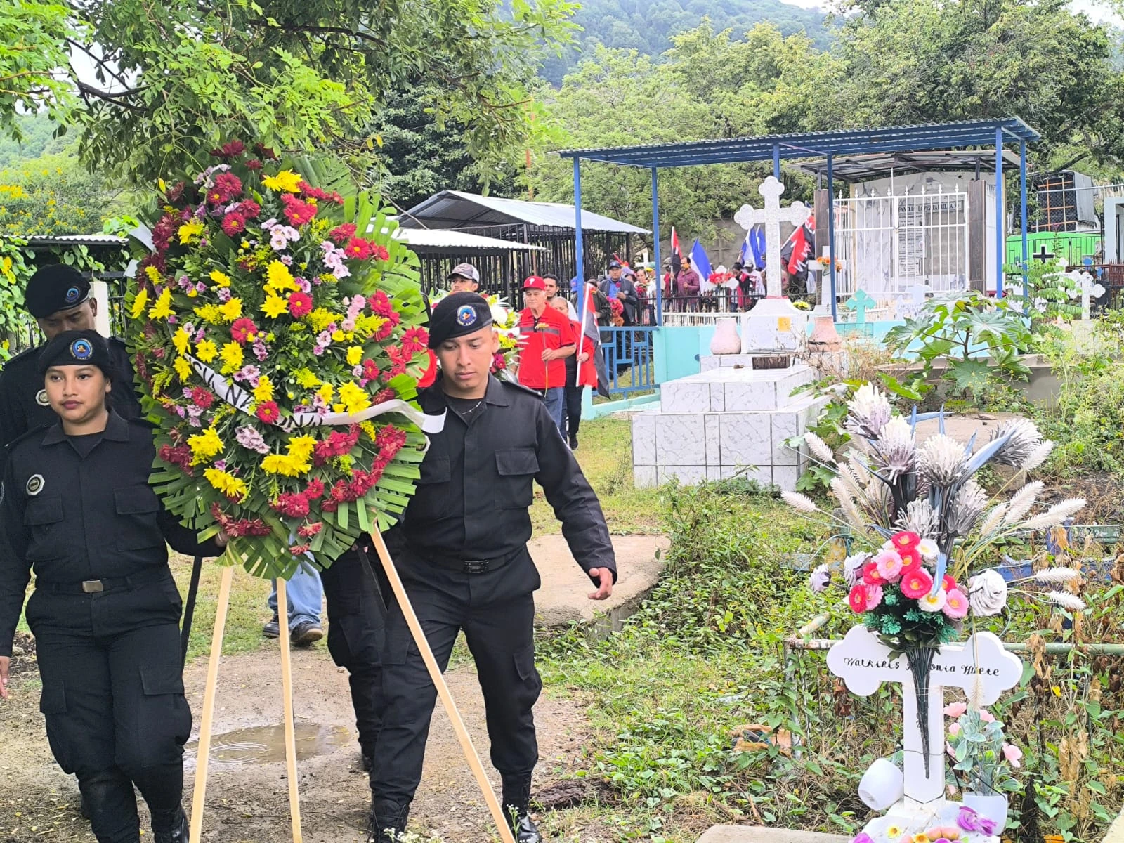 ESTELI-(17)