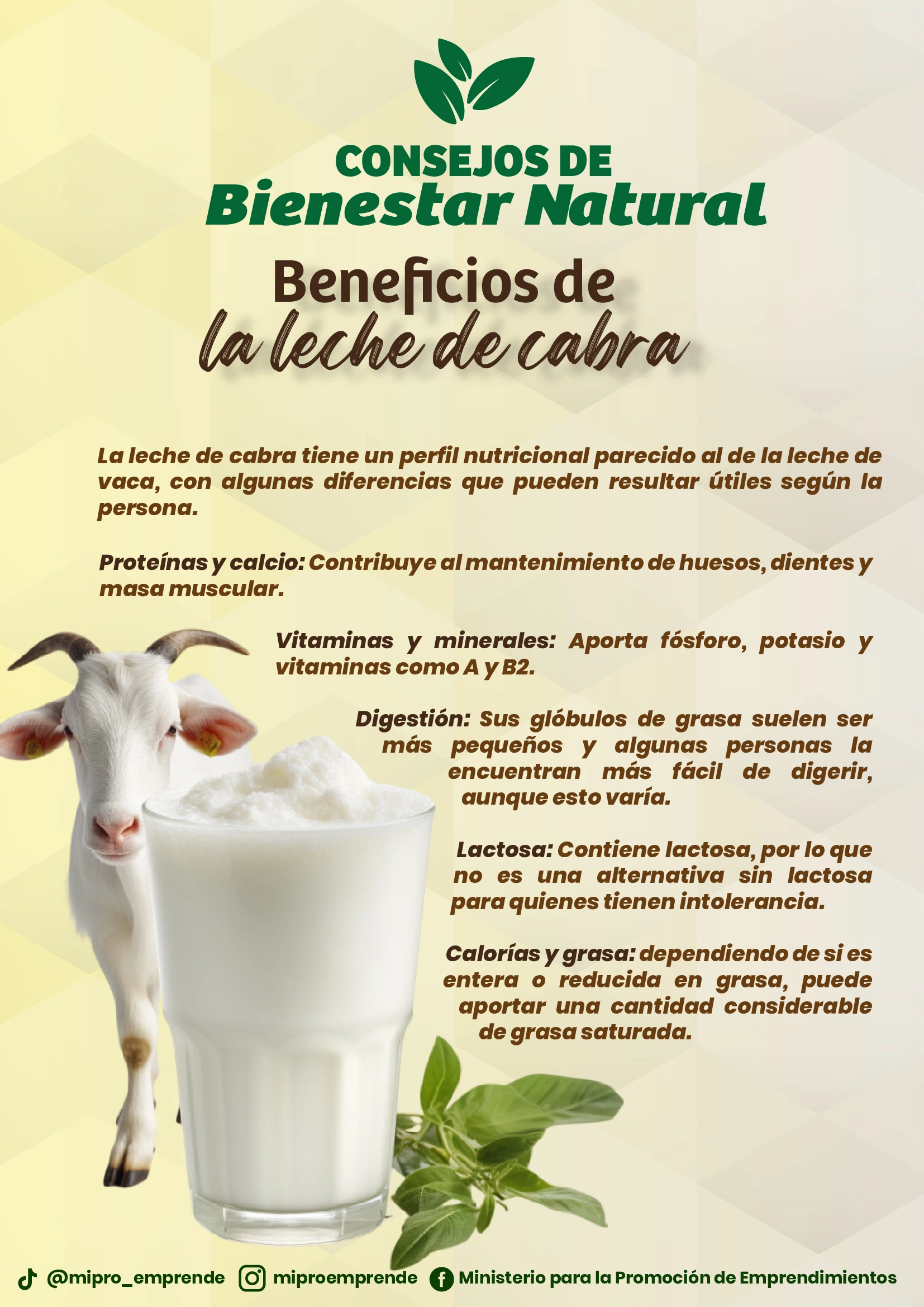 EMPRENDE-(13)