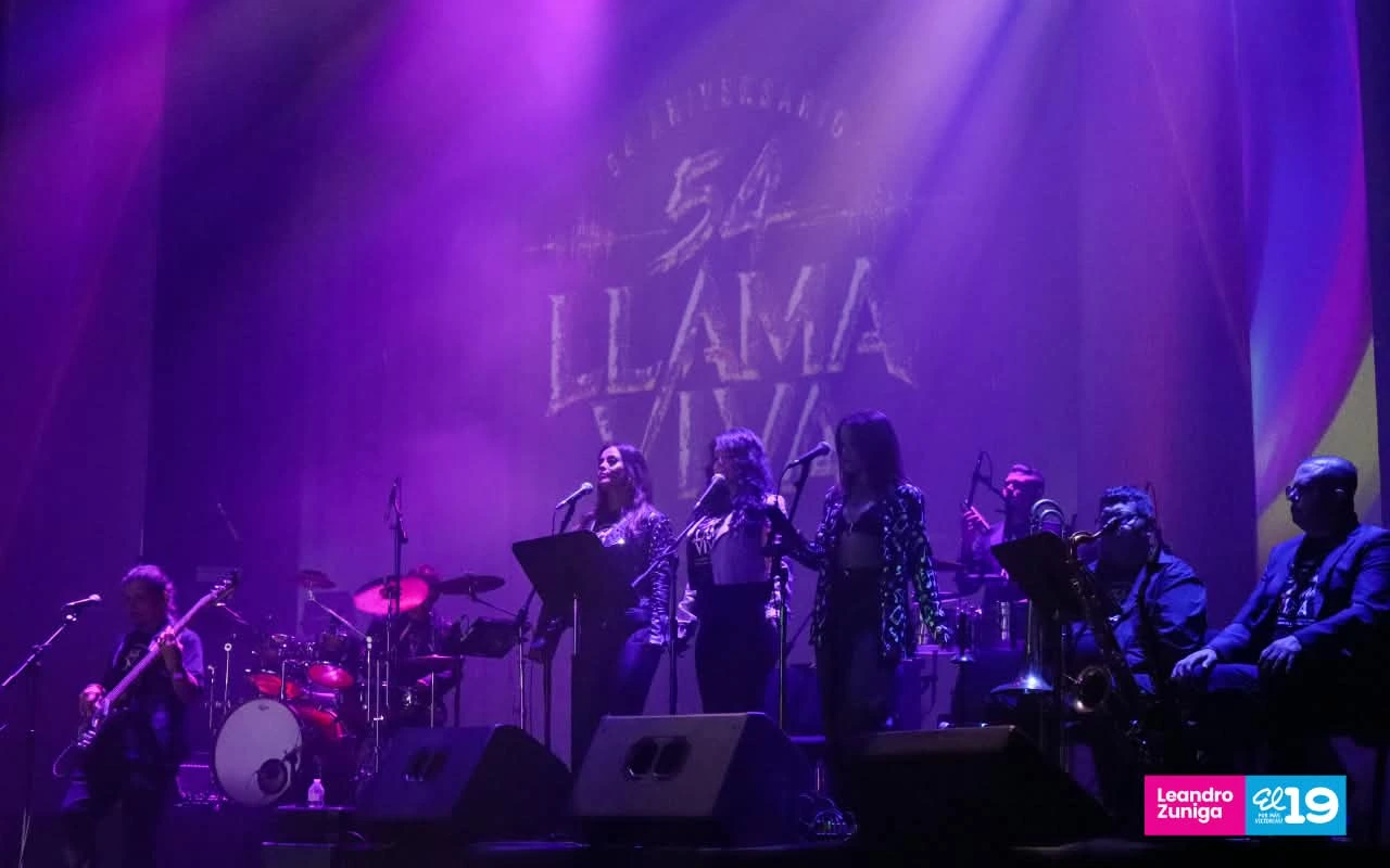 LLAMA-VIVA2