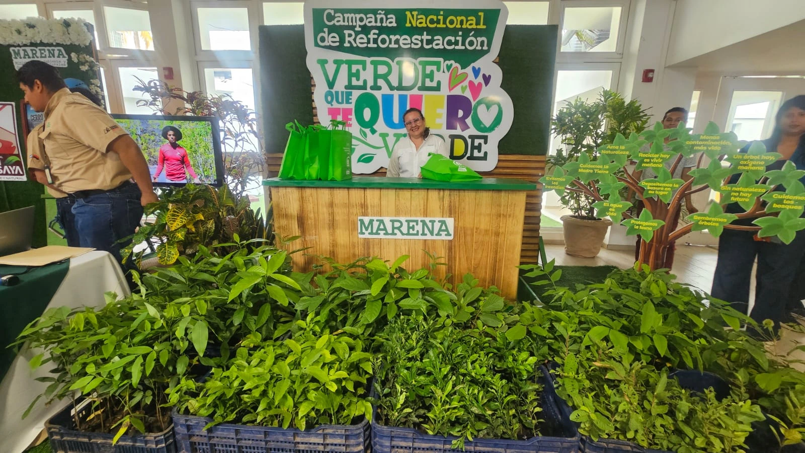 MARENA06