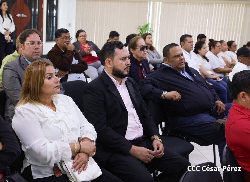 Consulta-22