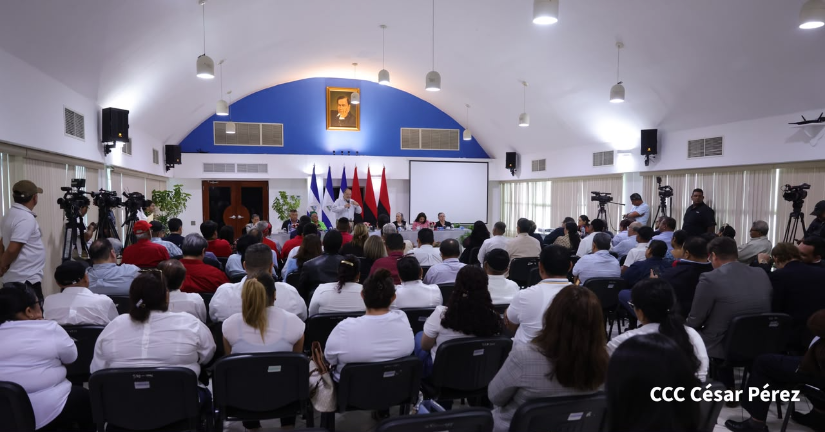 Consulta-33
