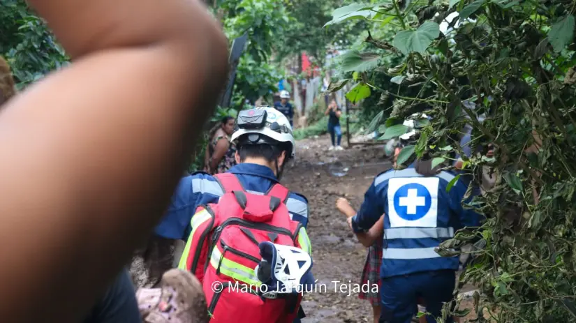 JINOTEGA-14