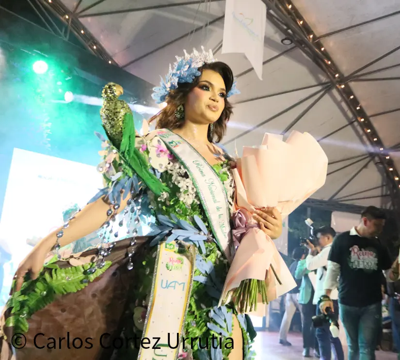 Reinas--(33)