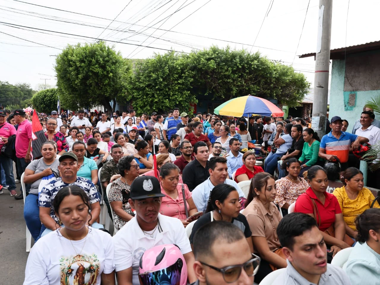 CONSULTA-(29)