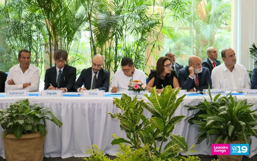 Consulta-30