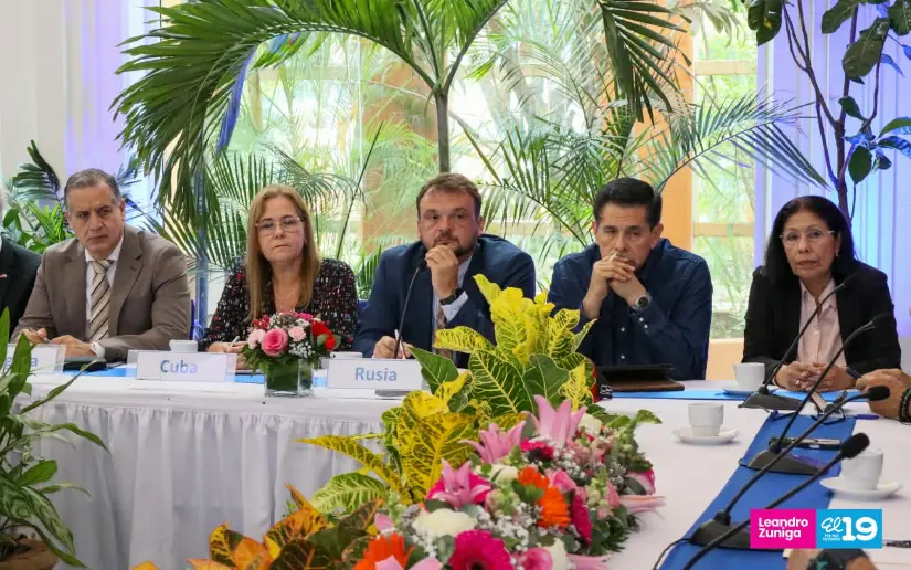 Consulta-41