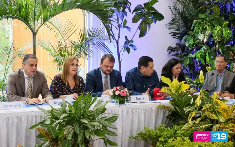 Consulta-64