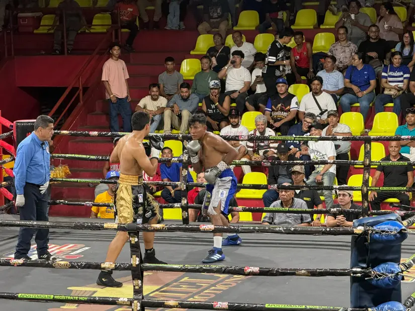 BOXEO--(17)