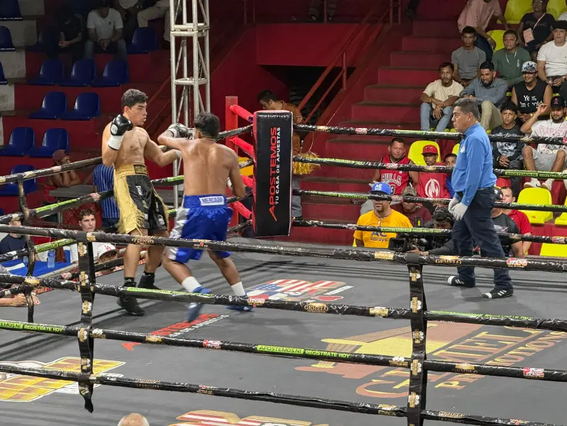BOXEO--(19)