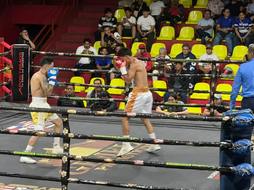 BOXEO--(23)